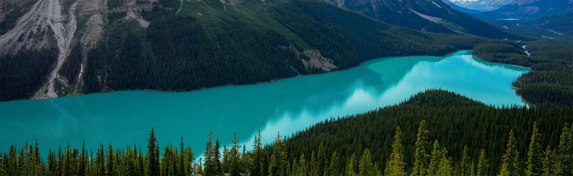 Un lac, avec d'un côté la montagne et de l'autre des arbres
