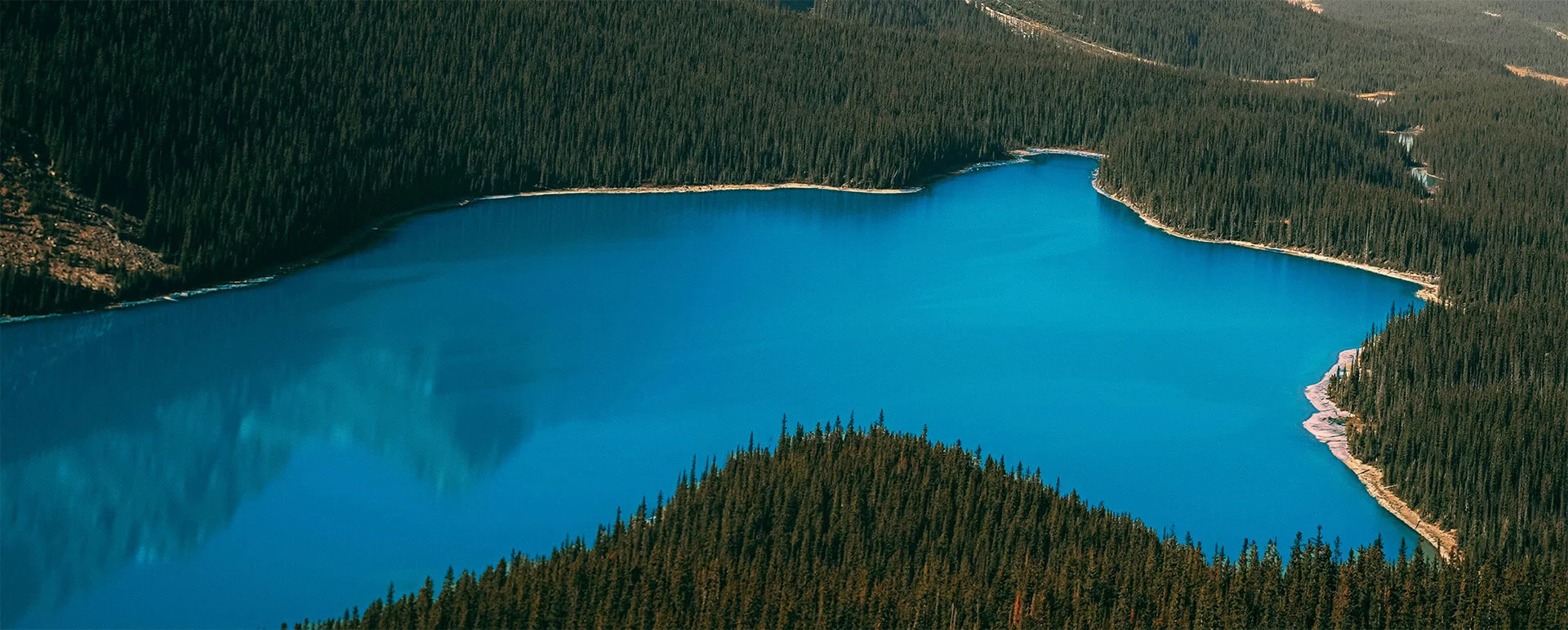 Lac entouré de verdure